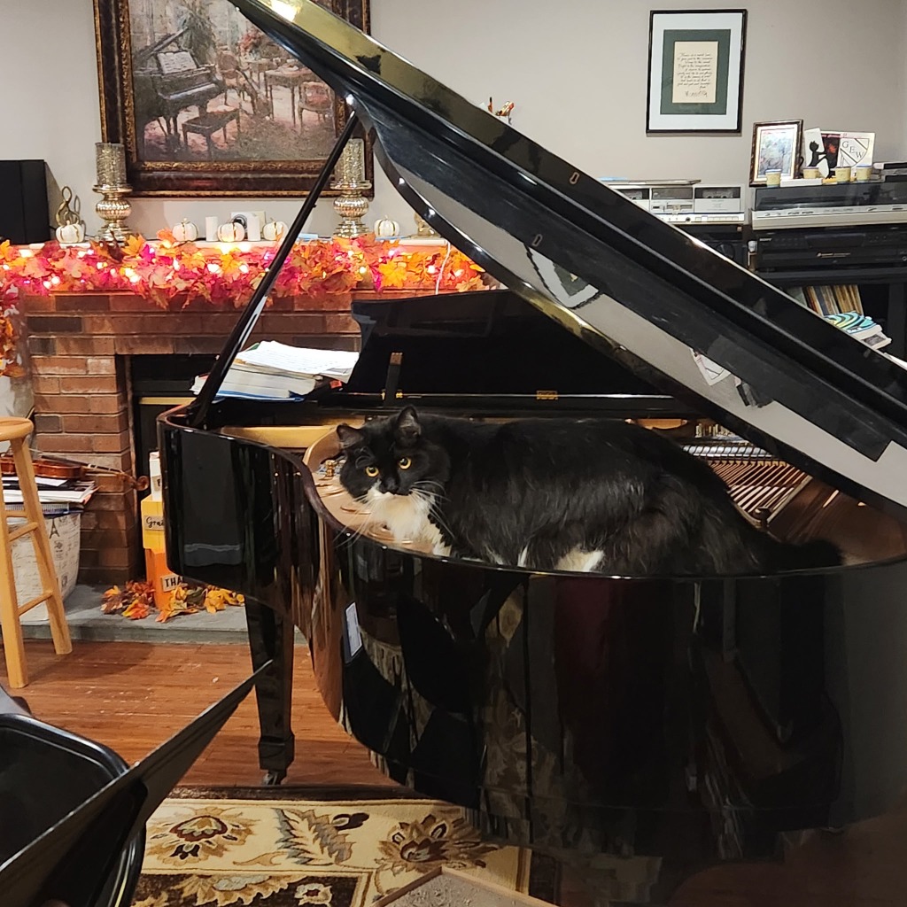 Cat on Piano